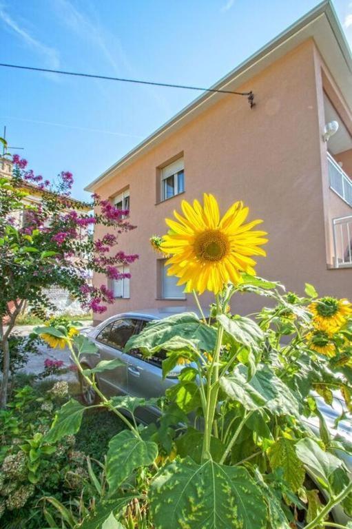 Apartman Studio Nena Crikvenica Exterior foto